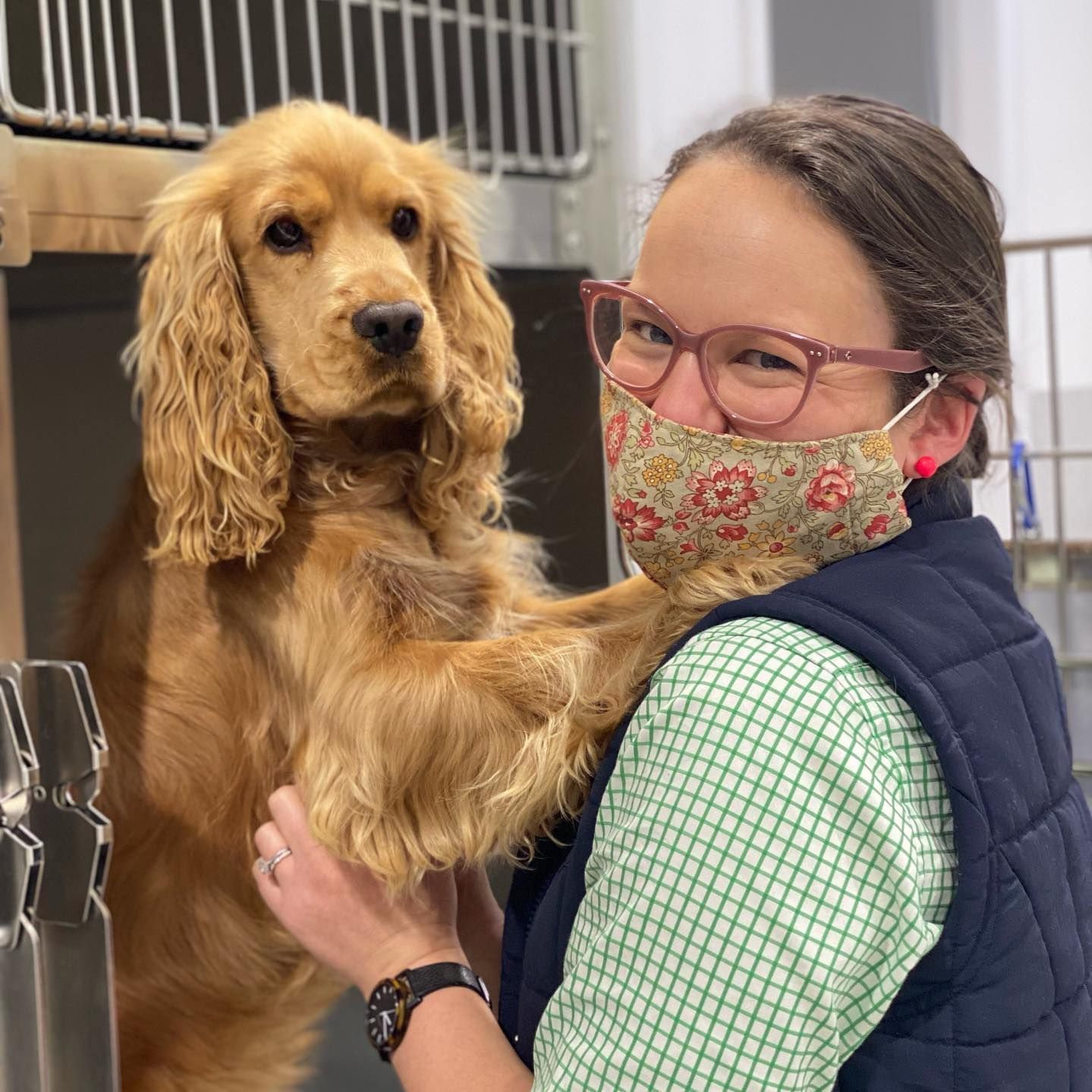 Woman in glasses and mask with a golden Cocker Spaniel in a kennel. Dog’s paw on woman’s arm.
