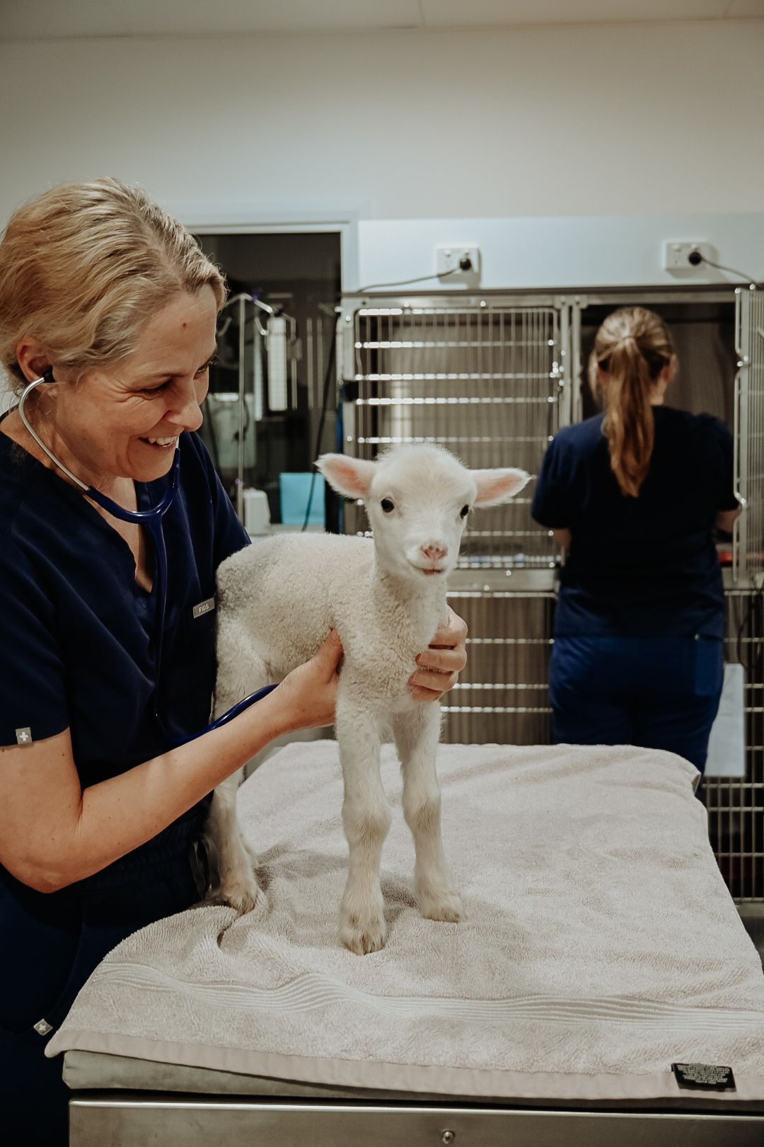 Dr Sunita Neville | Cowra, NSW | Cowra Veterinary Centre