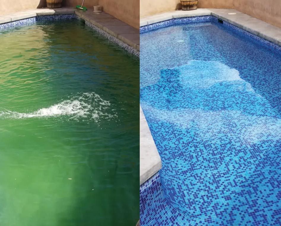 Green To Clean Pool Service
