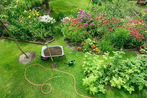 Eco-Friendly Solutions North Highlands