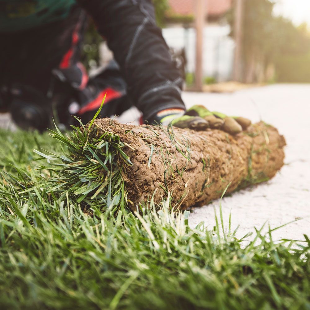 Installing Turf — Evans City, PA — VicNor Farms