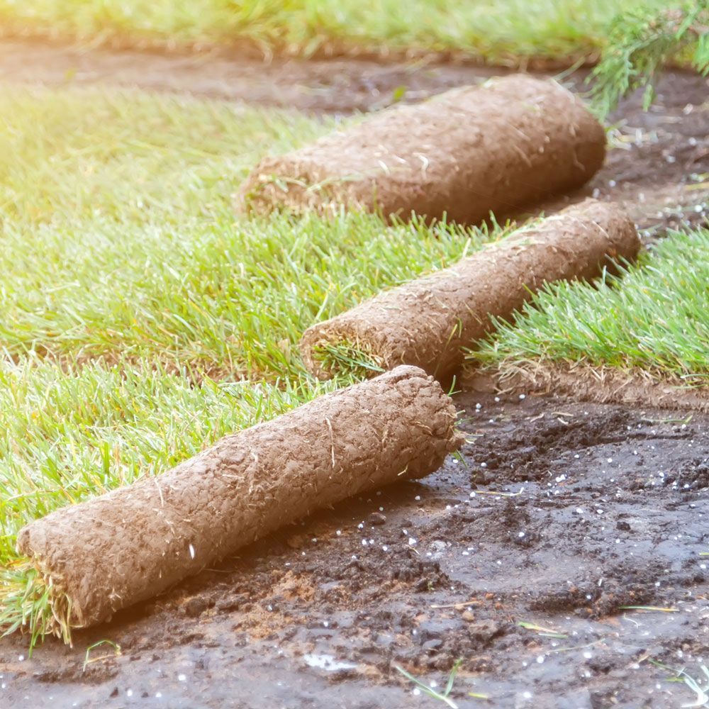 Rolled Grass — Evans City, PA — VicNor Farms