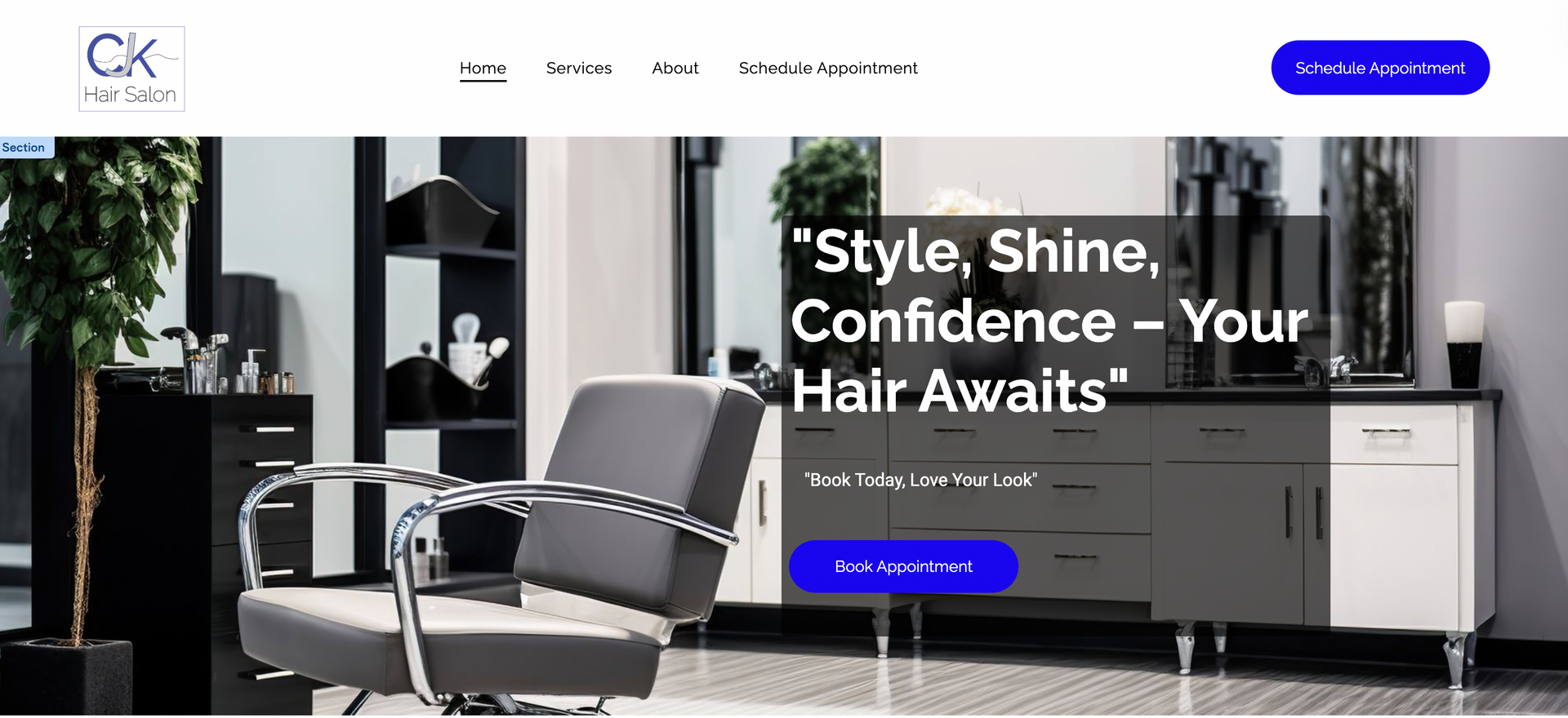 Alex Roofers Website Example