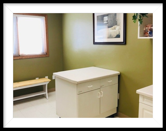 Oak View Veterinary Hospital, Green Bay, WI Veterinarian provides