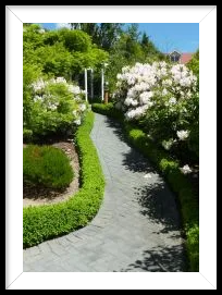 residential landscaping