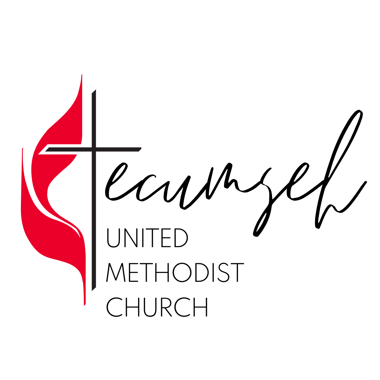This Sunday, February 11th, is - Tecumseh United Church