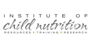 Link to Institute of Child Nutrition