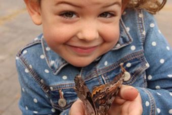 girl holding butterfly