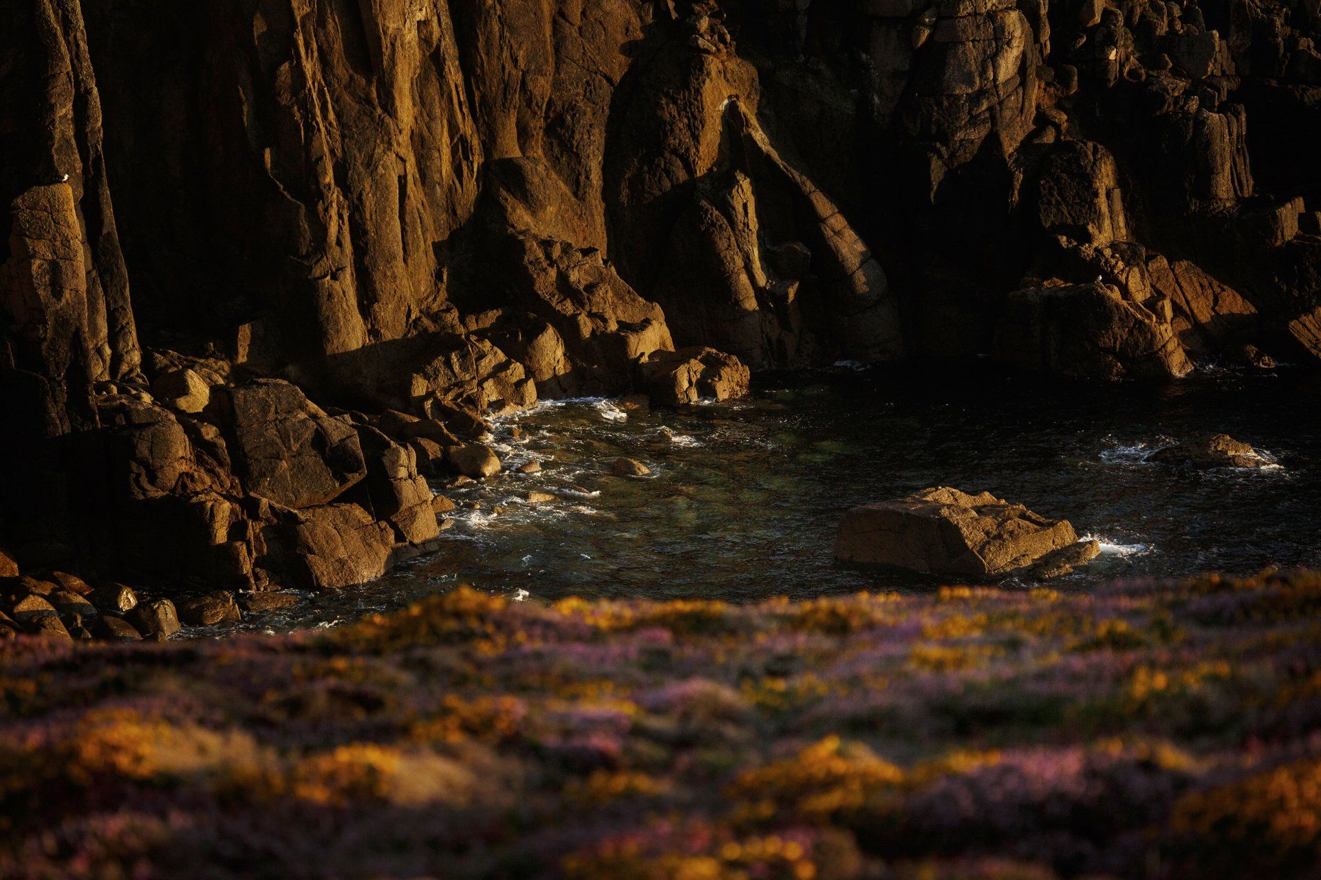 Land's end Cornwall heather fields with dramatic cliffs in the background