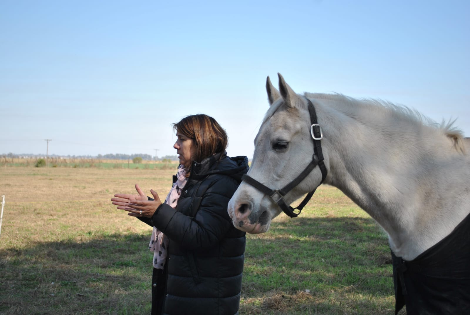 Una mujer está parada junto a un caballo blanco en un campo.