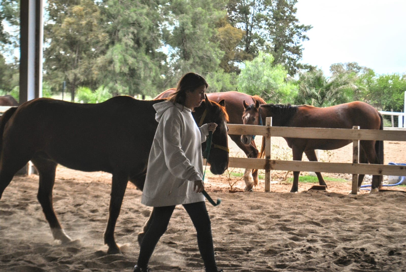 Una mujer con un abrigo blanco pasea un caballo marrón.