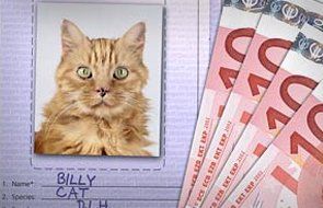 Cat passport