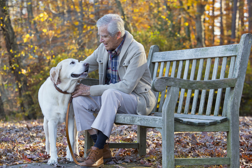 a senior citizen with a pet