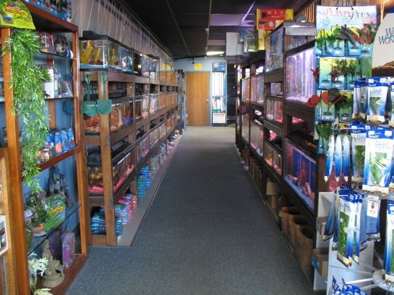 Freshwater Aisle-Fish Store in Highlands Ranch CO