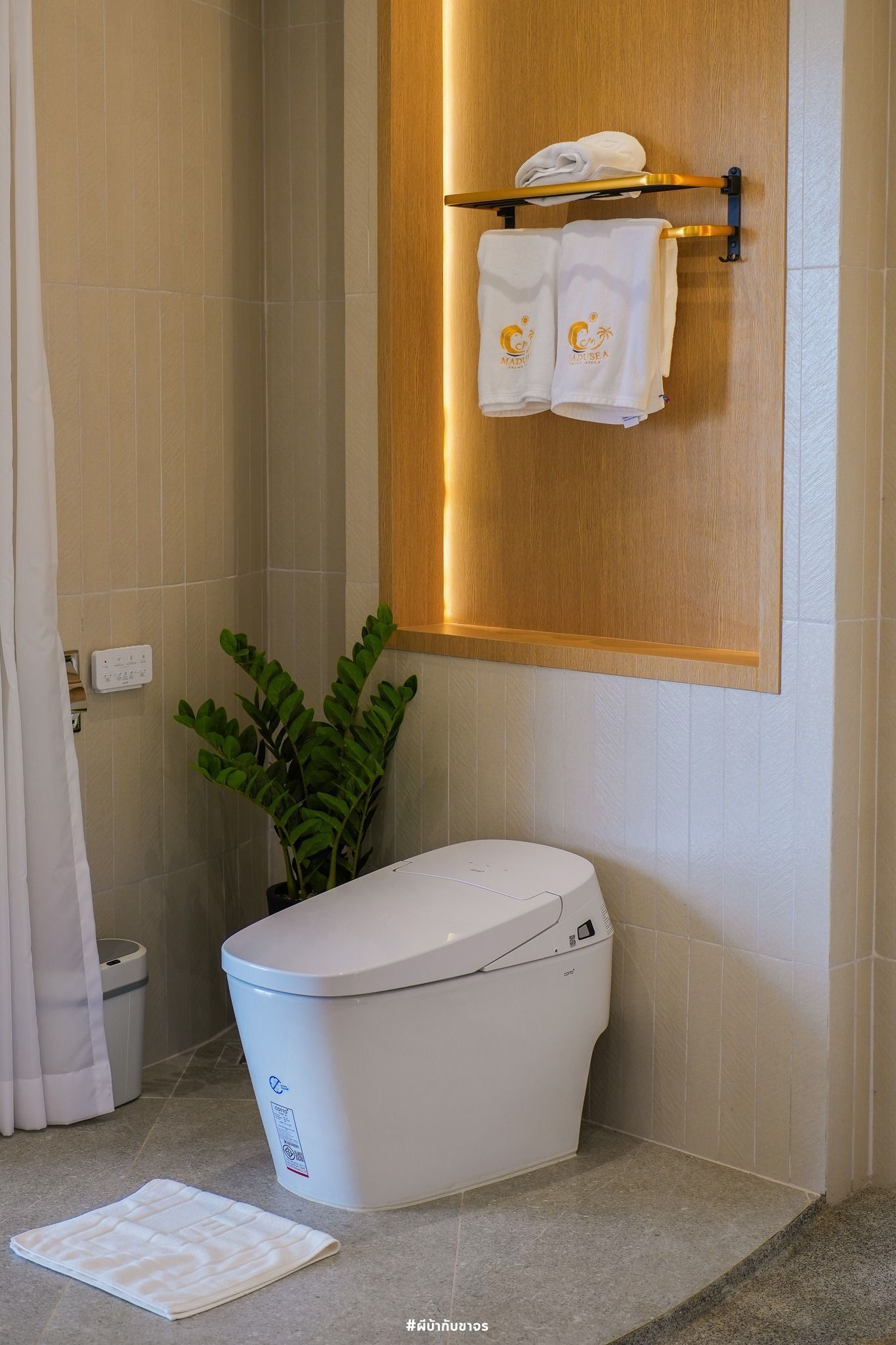 Modern bathroom with a white toilet, towels, and a plant.