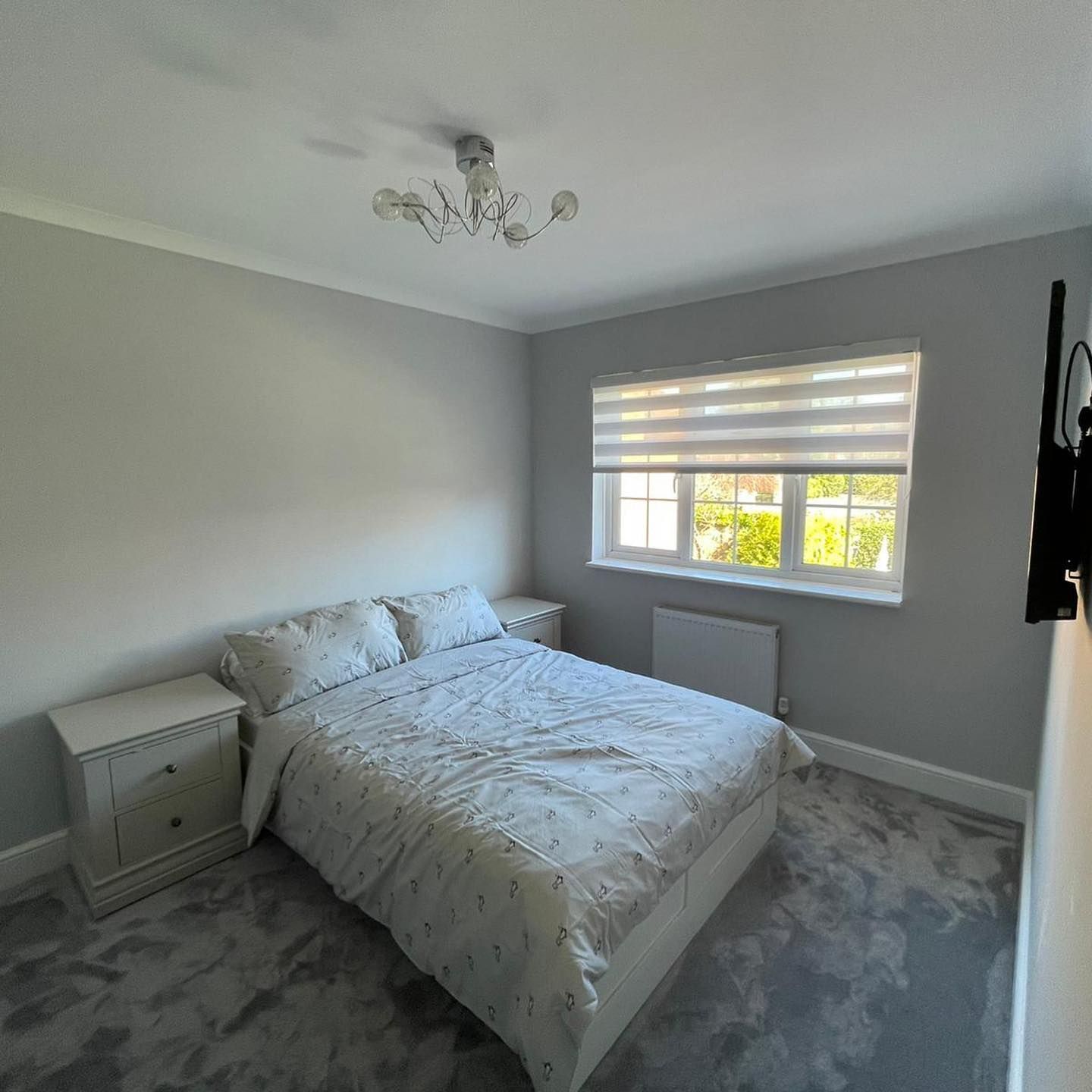 Bedroom with gray walls, carpet, bed, nightstands, and window with blinds.