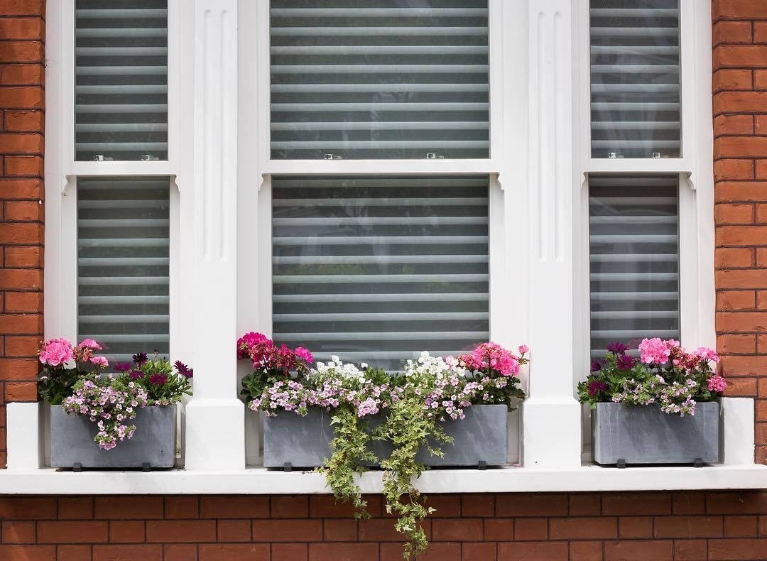 Three window boxes with pink and purple flowers in a brick building with white trim.