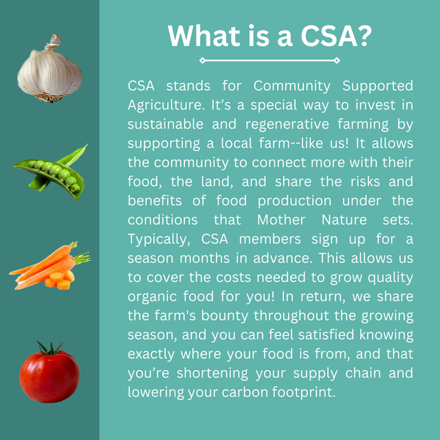 Common Ground Cultivation photo 4