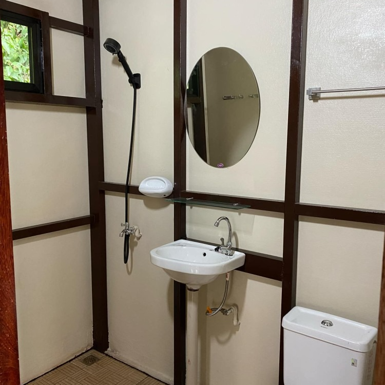 A bathroom with a sink , toilet , mirror and shower.
