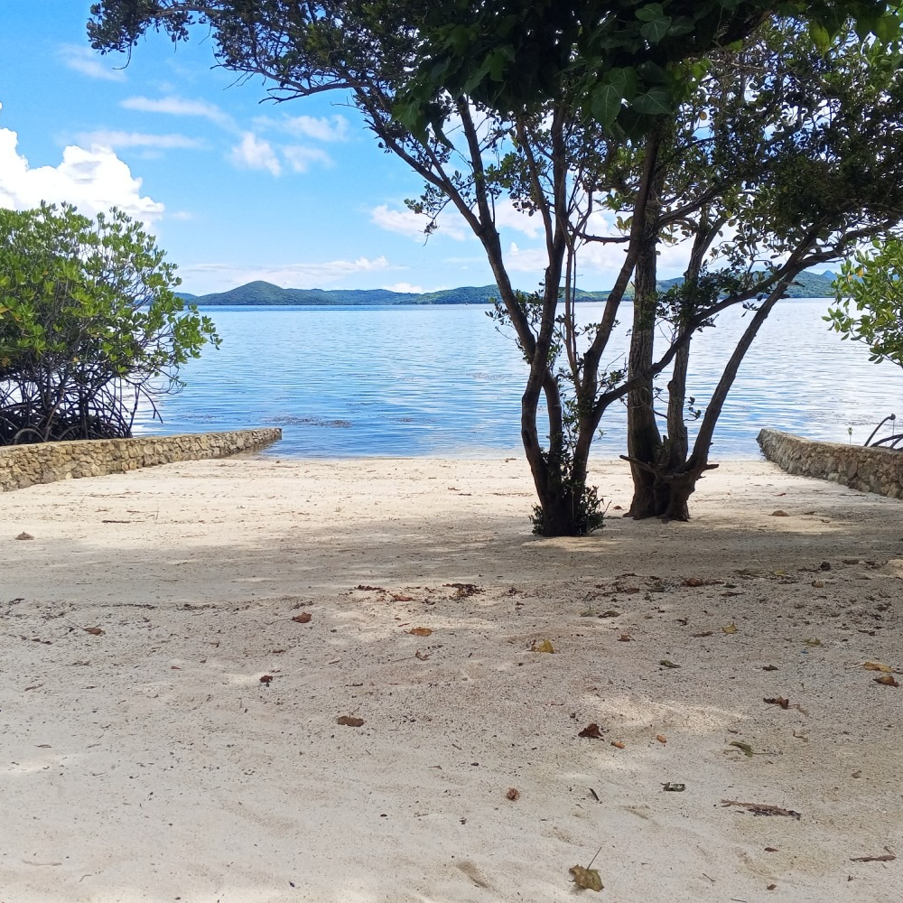 A sandy beach with trees in the foreground and a body of water in the background
