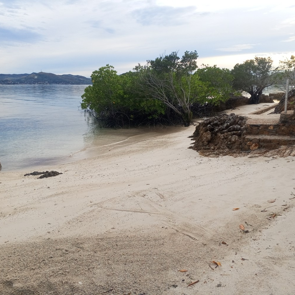 A small island in the middle of a sandy beach