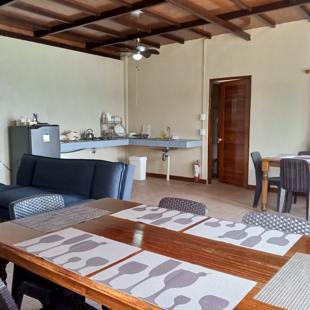 A living room with a dining table and a couch