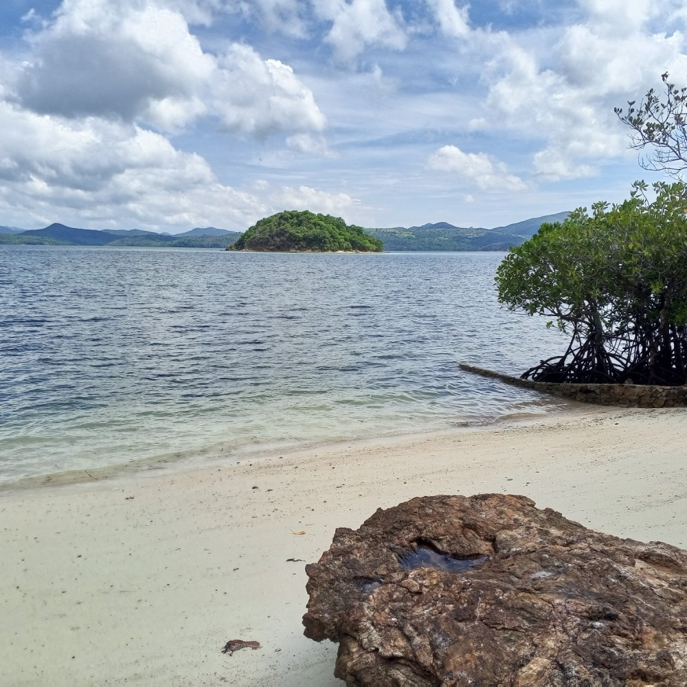 A small island in the middle of a body of water