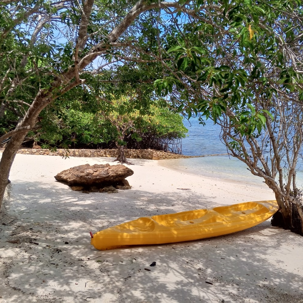 A yellow kayak is sitting on a sandy beach under a tree.