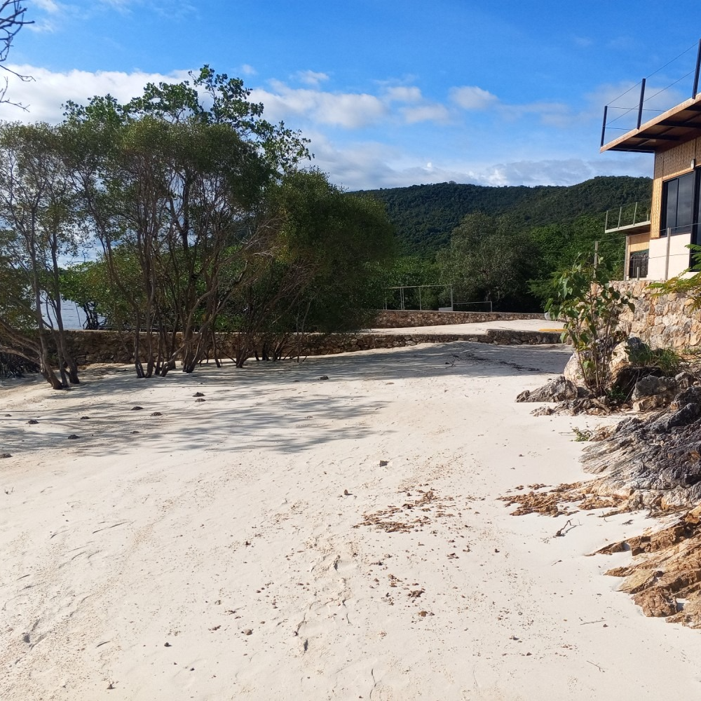 A sandy beach with trees and a building in the background