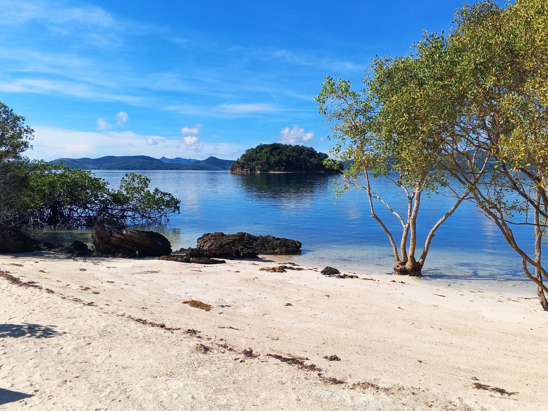 A beach with trees and a small island in the background