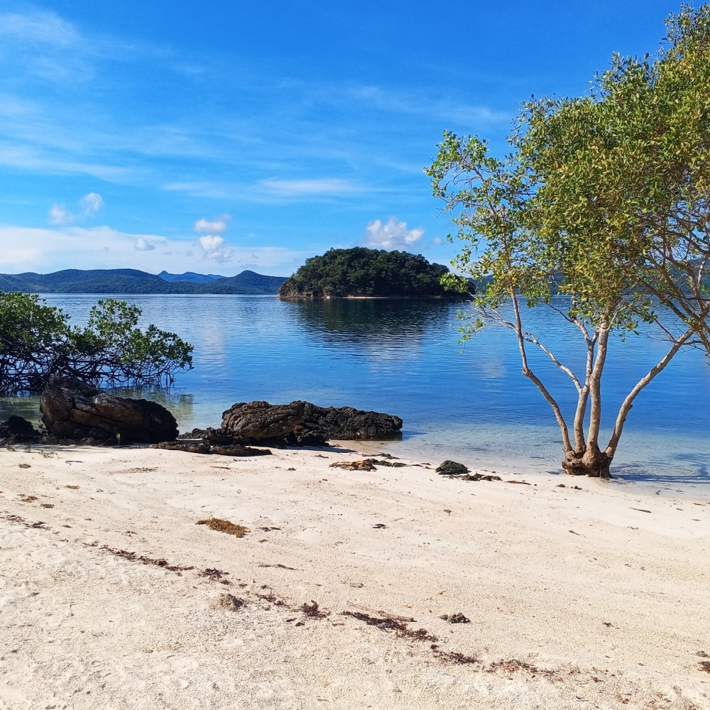 A small island in the middle of a body of water