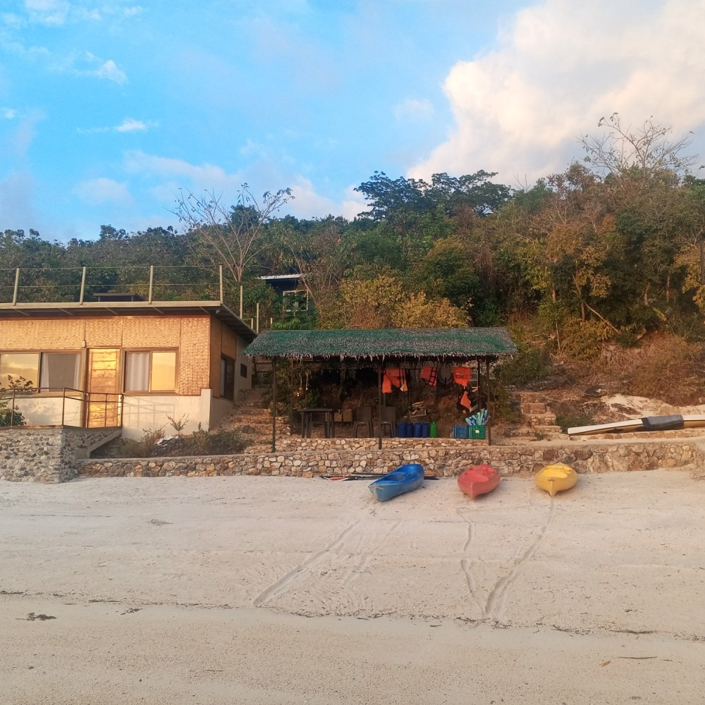 A house with a green roof sits on top of a hill