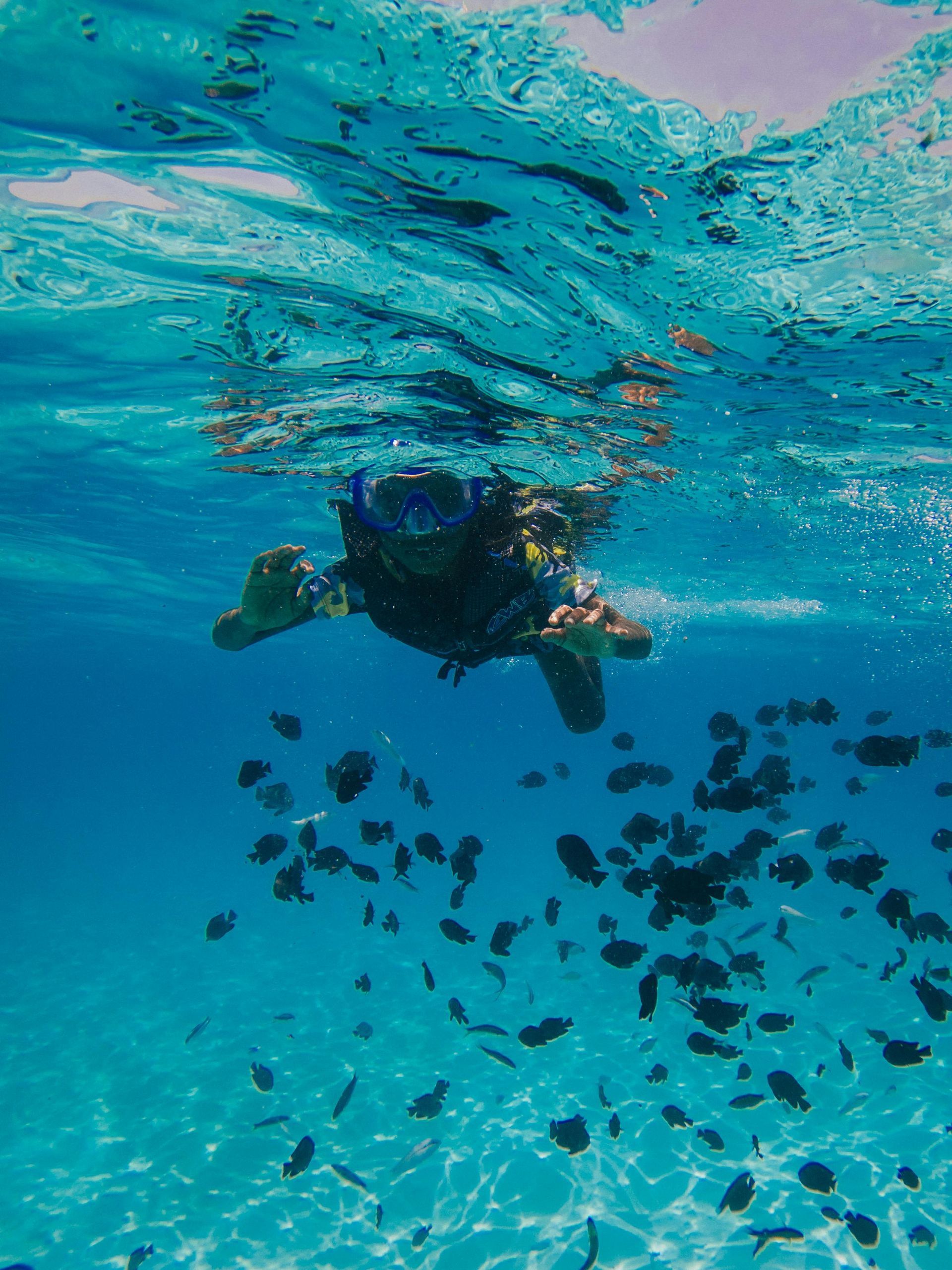 A person is swimming in the ocean surrounded by fish.
