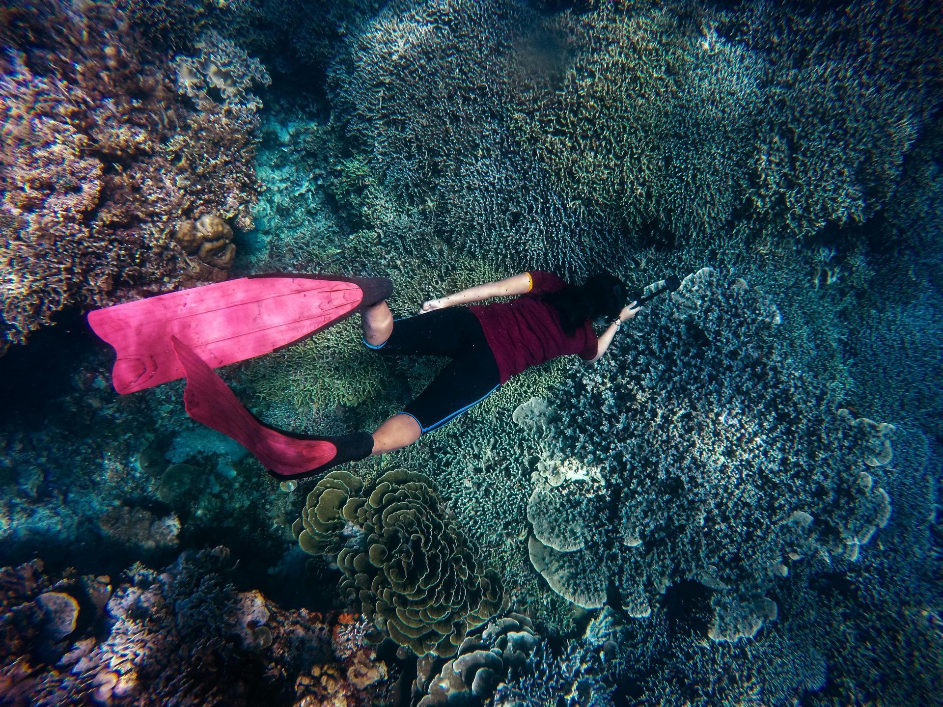 A woman is swimming in the ocean near a coral reef.