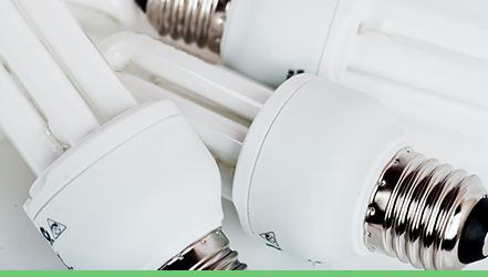 a selection of energy saving E S lightbulbs