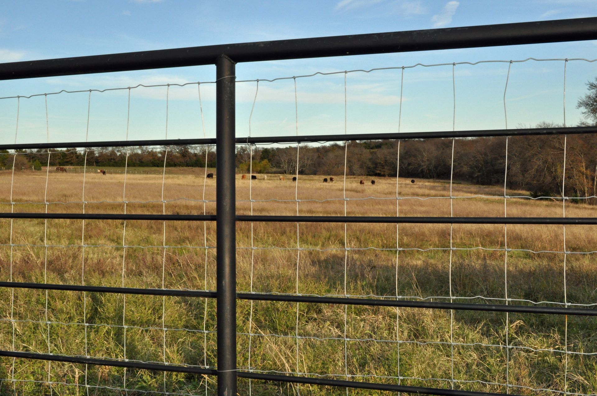 A wooden fence with a gate and trees in the background.