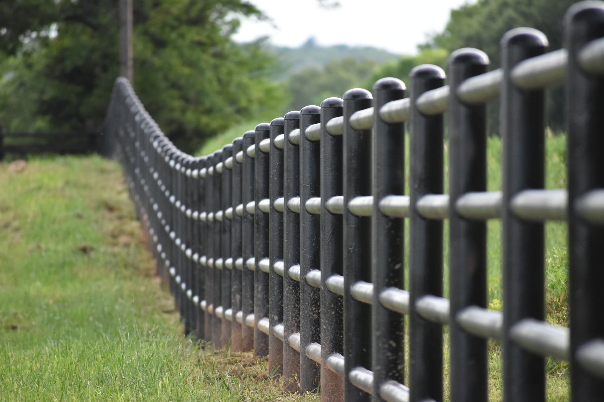 A black and white fence surrounds a grassy field