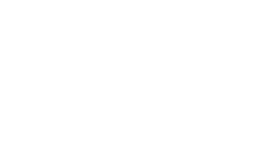 Local Termite Company logo