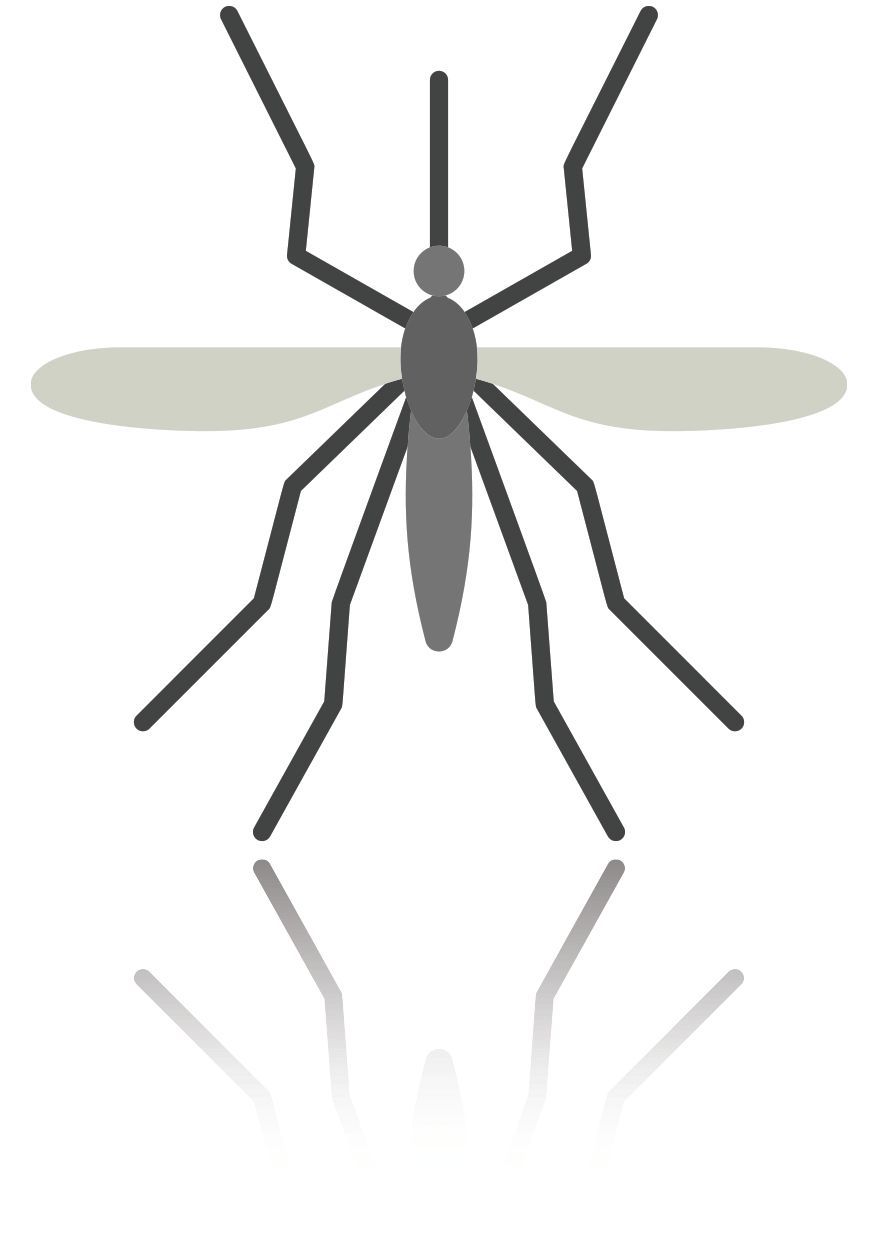 Mosquito Icon
