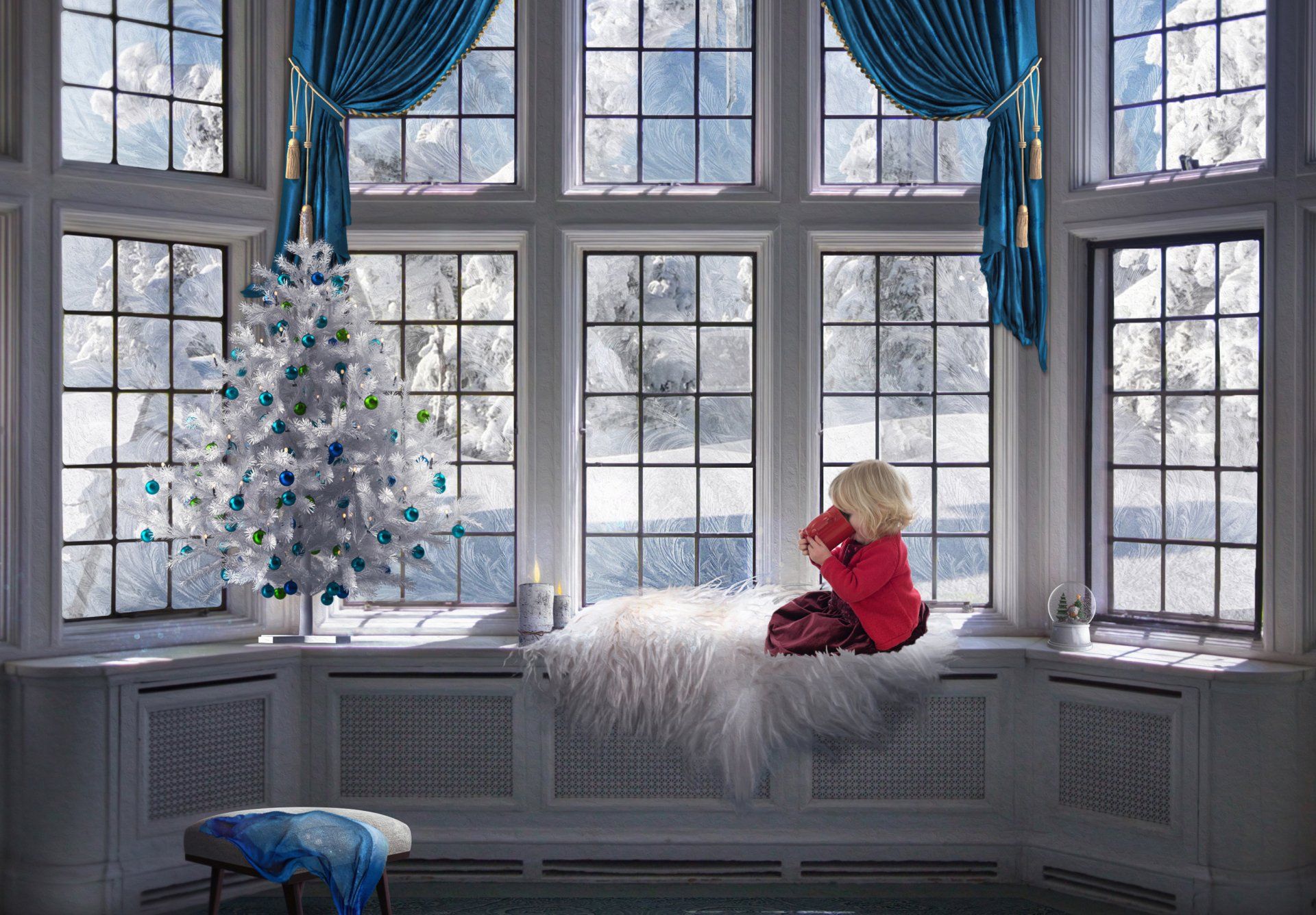 fancy window