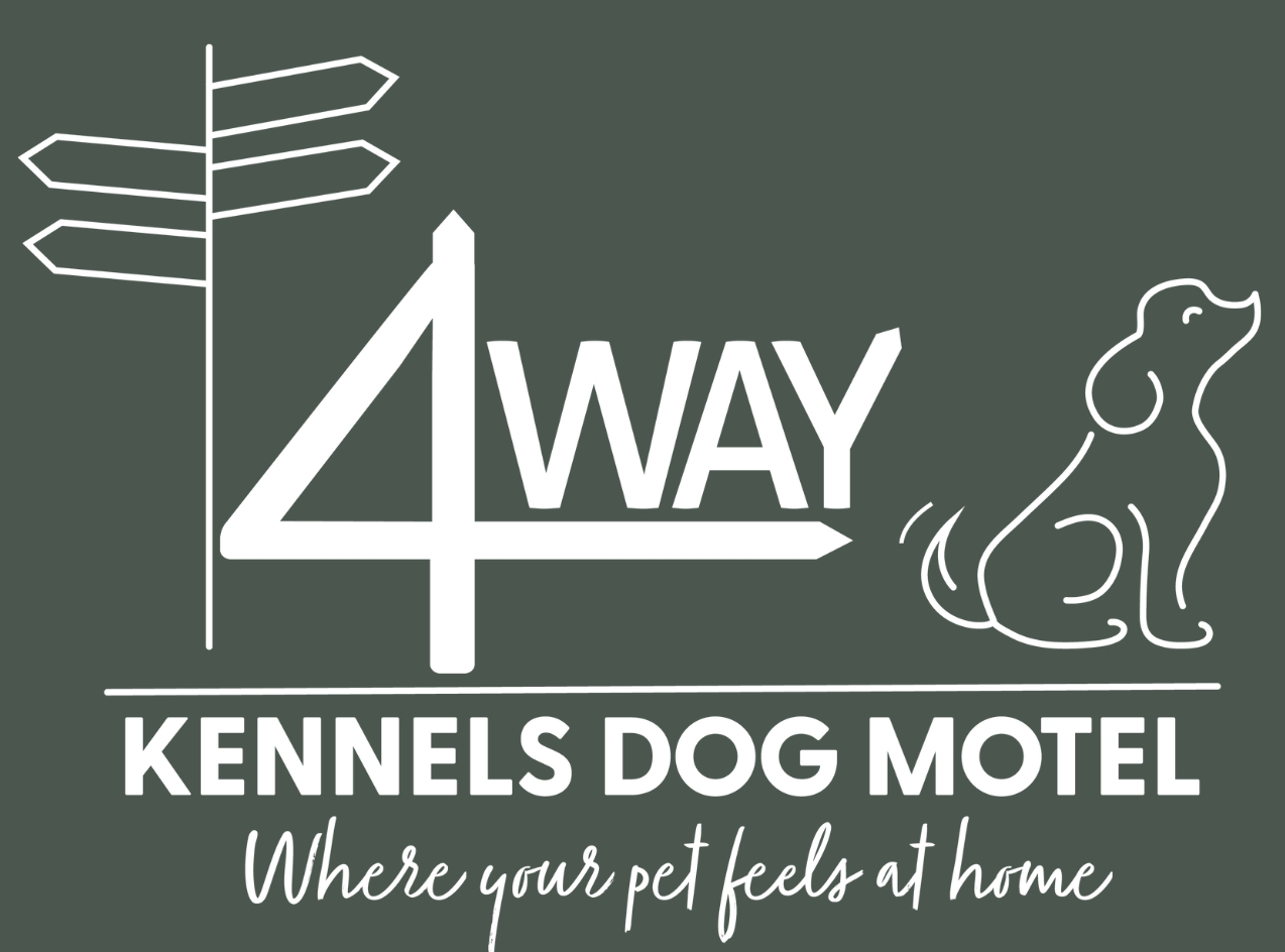 Four Way Kennels Dog Motel: Cosy Dog Accommodation in Bundaberg