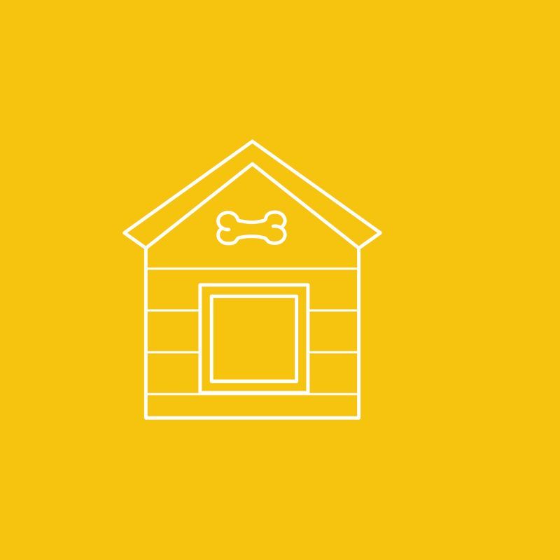 Four Way Kennels Dog Motel Dog in Bundaberg