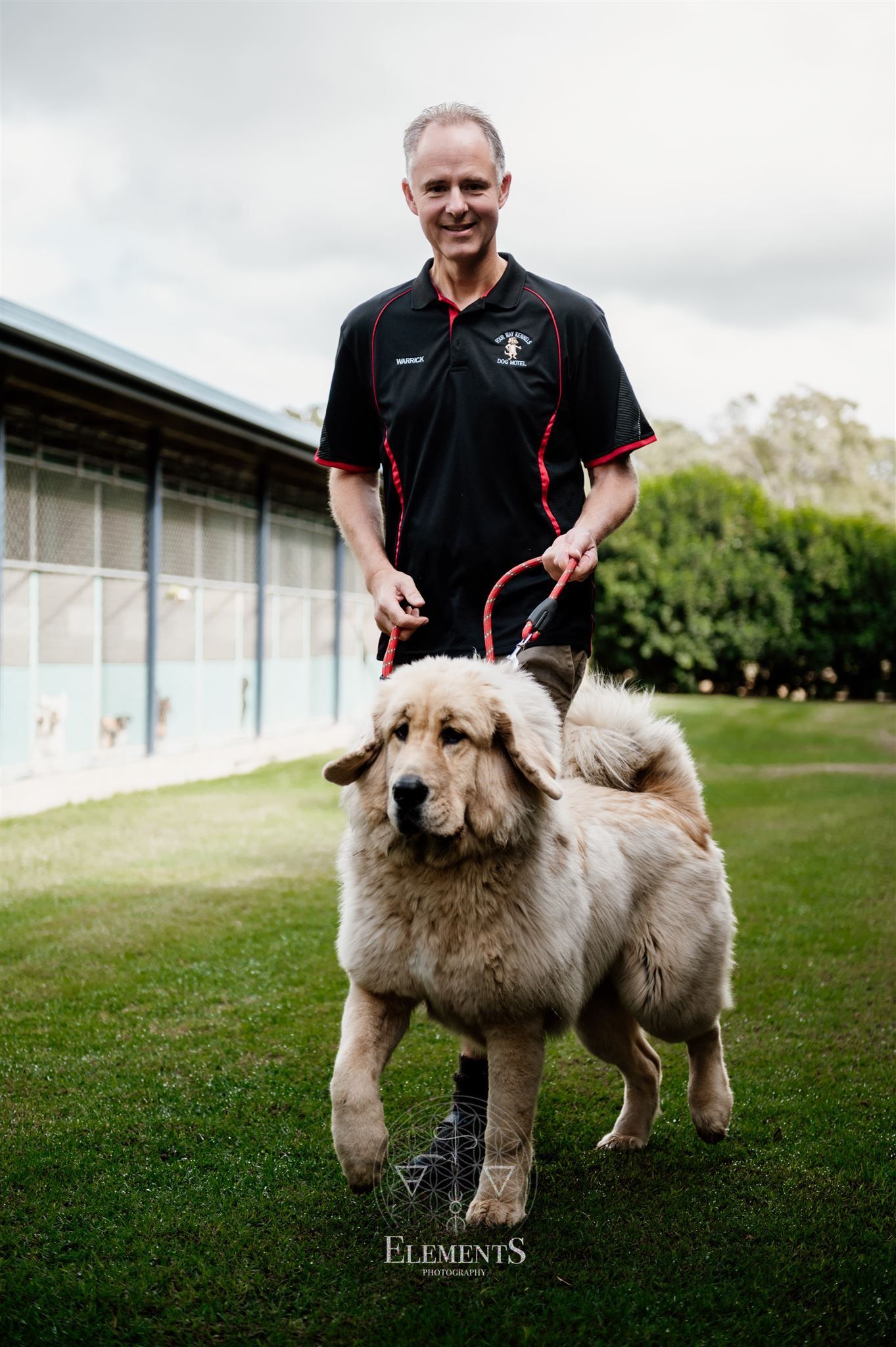 Dog Boarding Kennels in Bundaberg Four Way Kennels Dog Motel
