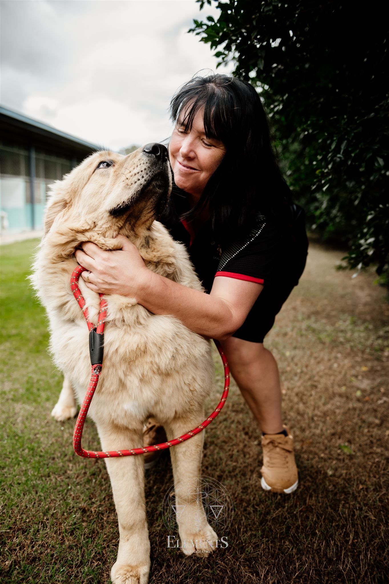 Four Way Kennels Dog Motel Dog in Bundaberg