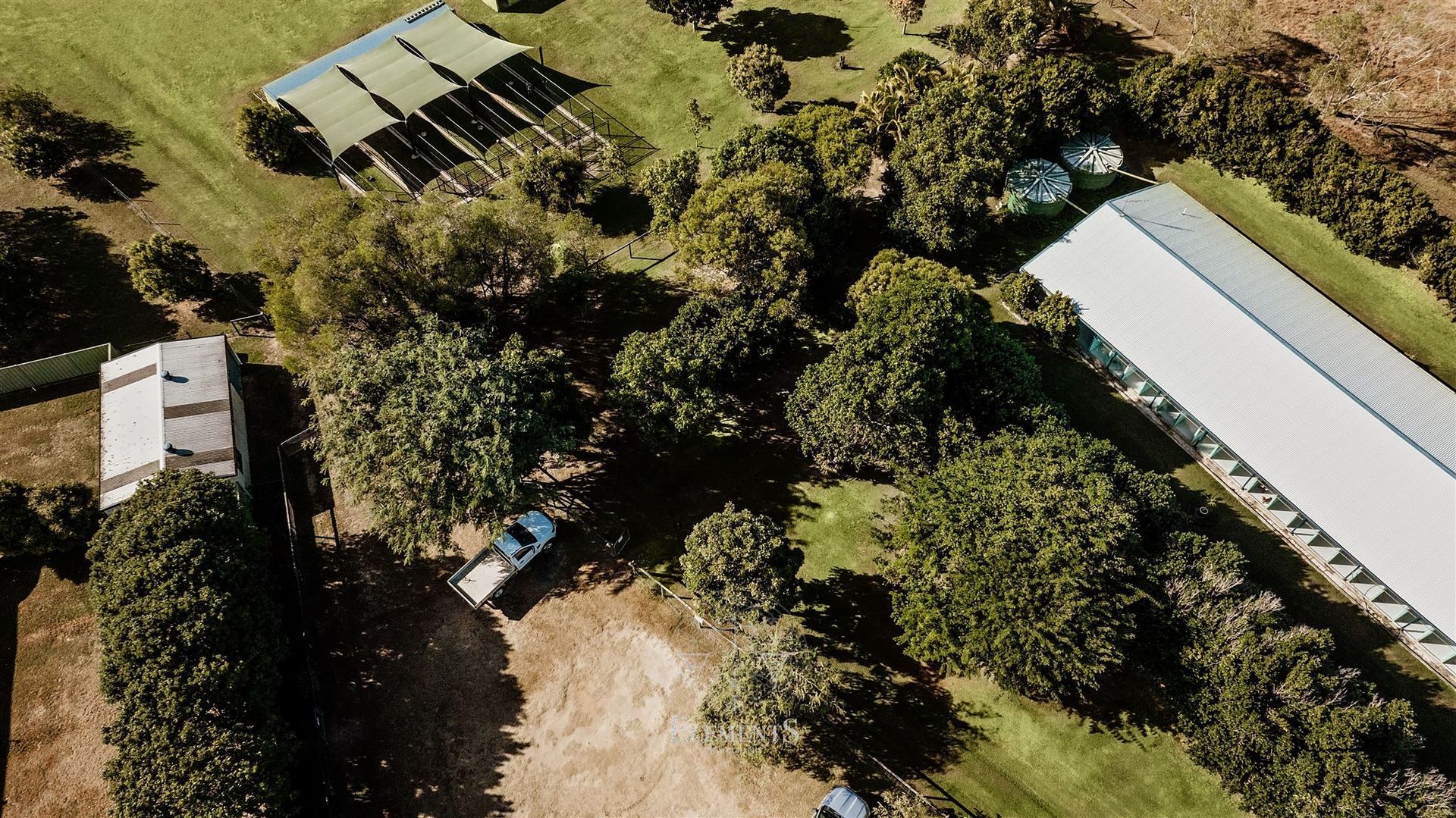 Dog Boarding Kennels in Bundaberg Four Way Kennels Dog Motel