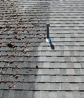 Roof with dark shingles; half is covered in debris, the other is clean.