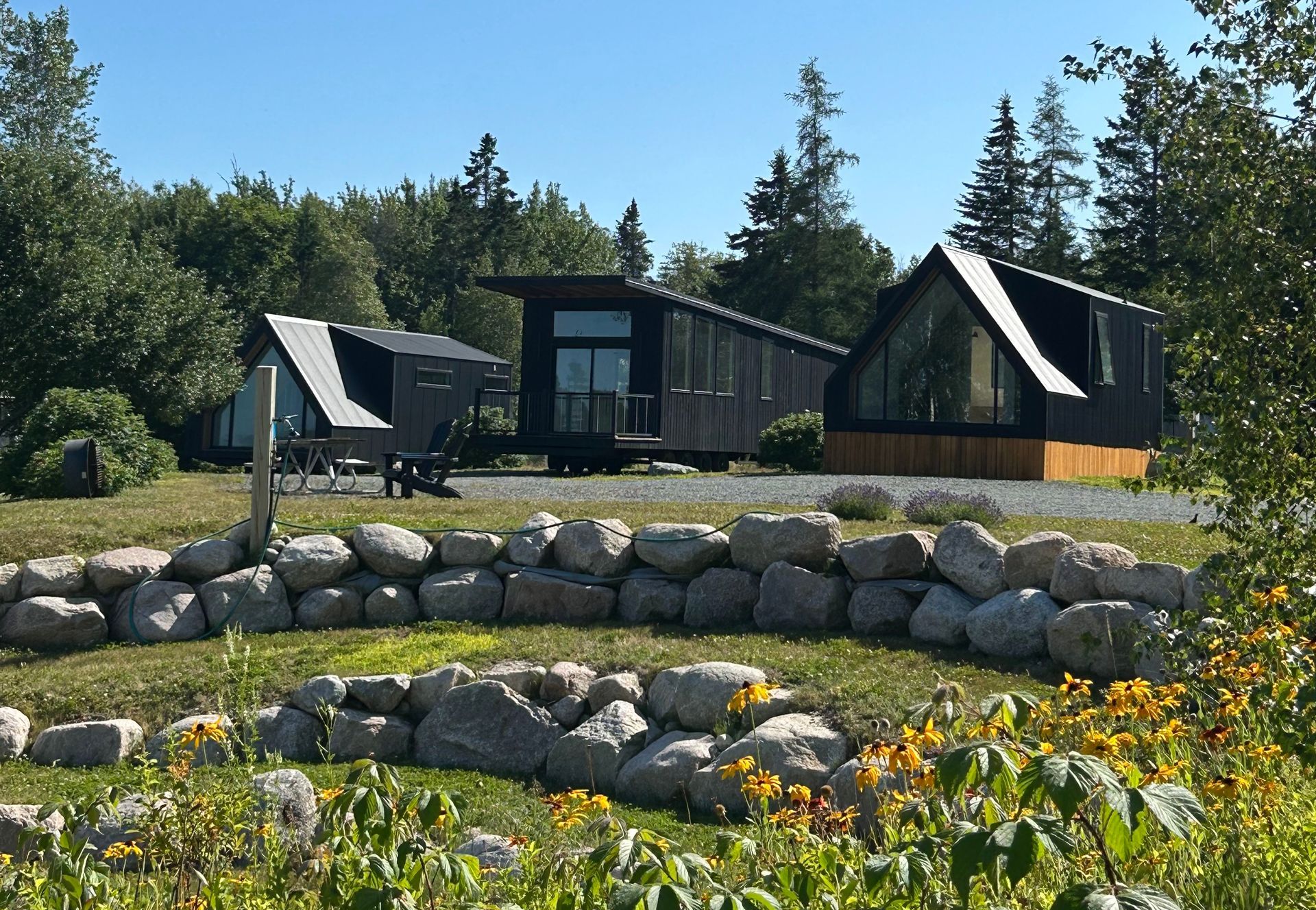 Bottles of wine in various colors arranged on wooden shelves in a store setting.