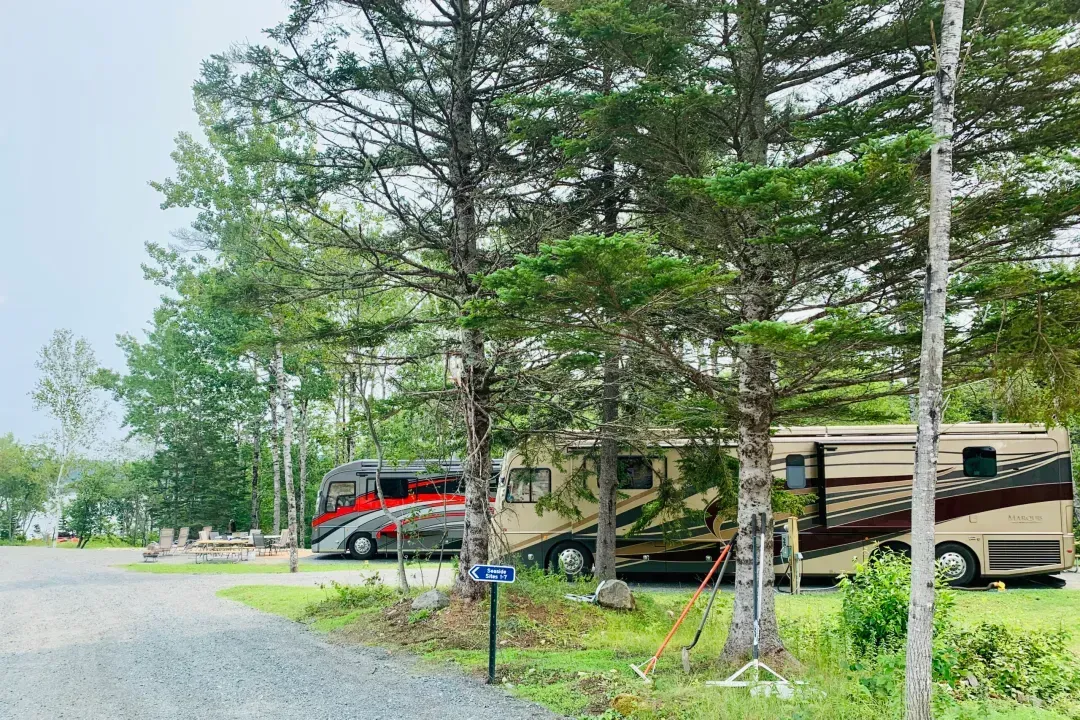 Two RVs parked at a campground, behind small trees, on a gravel road, with greenery around.