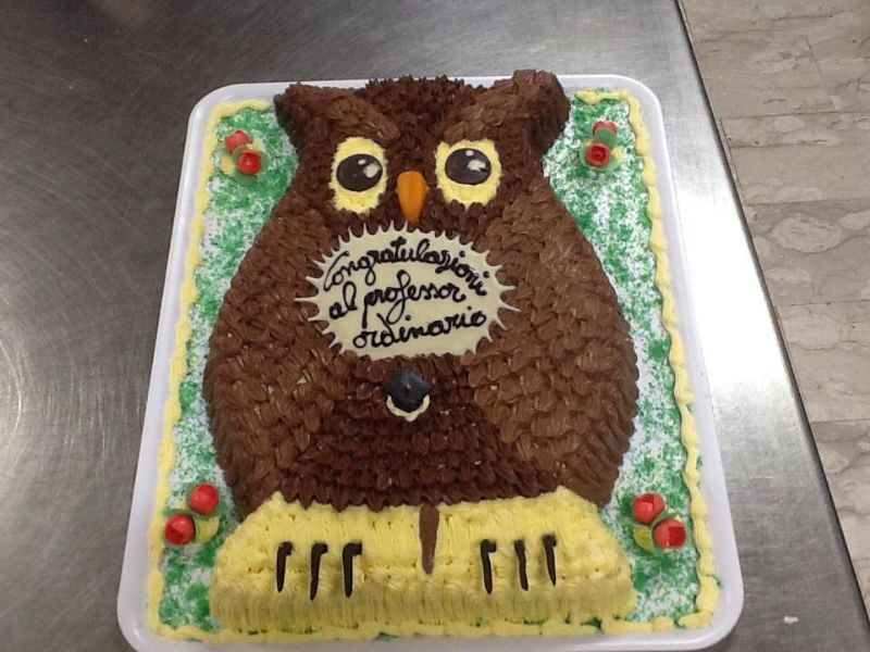 Torta a forma di gufo