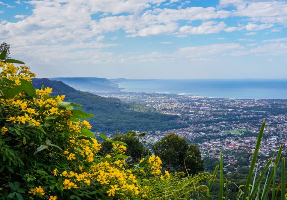 A View of A City from A Hill with Yellow Flowers in The Foreground — DW Fencing Tamworth in Walcha, NSW